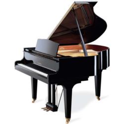 Kawai GE-30G E/P