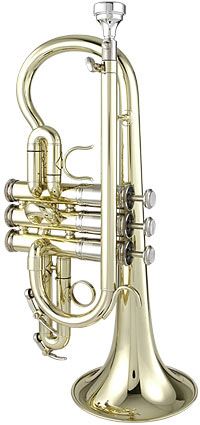 Getzen 3892