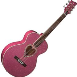 JAY TURSER JJC HRT (PS) gitara akustyczna