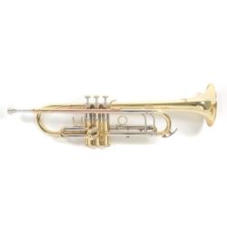 GEWApure Bb-Trompete Roy Benson TR-403