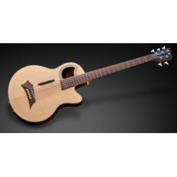 RockBass Alien Hybrid Thinline 1575 90PA SWN FR