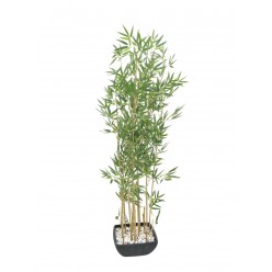 EUROPALMS Bamboo in bowl, artificial, 150cm