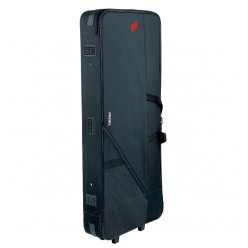 PROEL STAGE PFOAM900 FOAM Cases